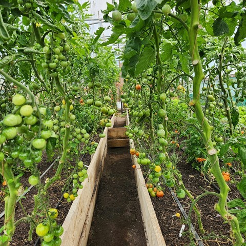 Conduite Productions horticoles